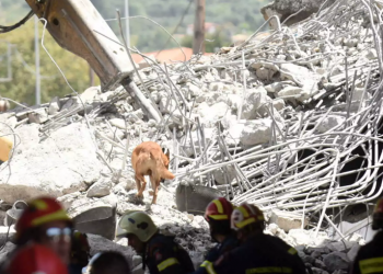 Συλλήψεις για την κατάρρευση της γέφυρας – Η ανακοίνωση της εταιρείας