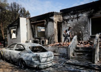 Τριαντόπουλος για αποζημιώσεις πυρόπληκτων: Την επόμενη εβδομάδα ανοίγει η πλατφόρμα – Εντός Αυγούστου οι πρώτες πιστώσεις