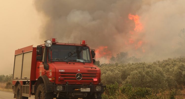 Καταστροφές απο την πυρκαγιά στην Αλεξανδρούπολη. Τρίτη 22 Αυγούστου 2023  (ΒΑΣΙΛΗΣ ΒΕΡΒΕΡΙΔΗΣ / ΜΟΤΙΟΝ ΤΕΑΜ)