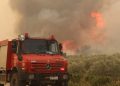 Αλεξανδρούπολη: Ενιαίο μέτωπο με πύρινες γλώσσες, ουρά, πτερύγια και κηλιδώσεις