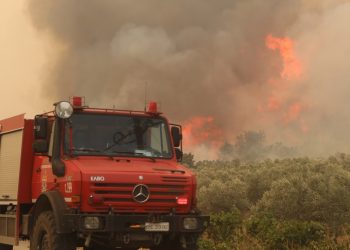 Αλεξανδρούπολη: Ενιαίο μέτωπο με πύρινες γλώσσες, ουρά, πτερύγια και κηλιδώσεις