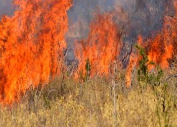 Τι προβλέπει ο χάρτης επικινδυνότητας για τις πυρκαγιές αύριο