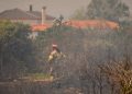 Φωτιά: Εντοπίστηκαν 18 σοροί στον Άβαντα Αλεξανδρούπολης – Διερευνάται αν πρόκειται για μετανάστες!