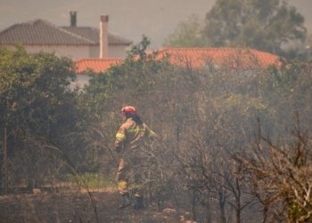 Φωτιά: Εντοπίστηκαν 18 σοροί στον Άβαντα Αλεξανδρούπολης – Διερευνάται αν πρόκειται για μετανάστες!