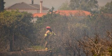 Φωτιά: Εντοπίστηκαν 18 σοροί στον Άβαντα Αλεξανδρούπολης – Διερευνάται αν πρόκειται για μετανάστες!
