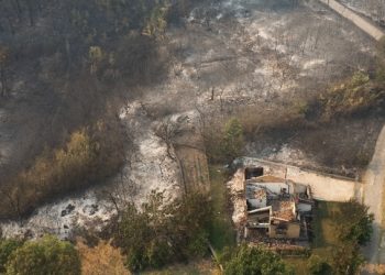 Το πλαίσιο της κρατικής αρωγής για τους πληγέντες από την πυρκαγιά στον Έβρο