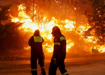 Δύσκολη η κατάσταση λόγω της πυρκαγιάς στην Αλεξανδρούπολη!