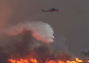 Τραγωδία: Φωτιά στον Έβρο – Τουλάχιστον 26 μετανάστες βρέθηκαν απανθρακωμένοι στο δάσος της Δαδιάς!