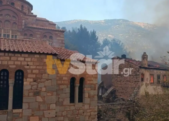 Φωτιά στη Βοιωτία: Η συγκλονιστική μάχη των πυροσβεστών για να μην καεί η ιστορική Μονή του Οσίου Λουκά (VIDEO)