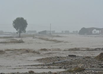 Αυγενάκης: Άμεσα οι καταγραφές ζημιών στον πρωτογενή τομέα – Γρήγορα και οι αποζημιώσεις