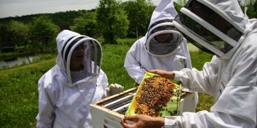 Νέο πρόγραμμα κατάρτισης στη μελισσοκομία σε συνεργασία της ΔΥΠΑ με το ΚΕΘΕΑ Ήπειρος