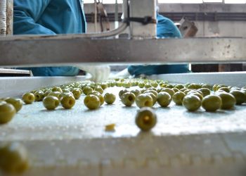 ΥΠΑΑΤ: Πρόγραμμα 135 εκατ. ευρώ για στήριξη της μεταποίησης αγροτικών προϊόντων