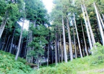 ΑΣΕΠ 1Γ/2024: Εκδόθηκε η πρόσκληση/προκήρυξη για υποψηφίους ΤΕ