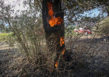 Φόβοι για πυρκαγιές το τριήμερο λόγω δυνατών ανέμων