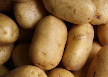 Αυξημένες κατά 36,96% οι εισαγωγές φρούτων και λαχανικών τον Μάρτιο στη χώρα μας