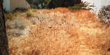 Ανατροπή με τα ακαθάριστα οικόπεδα: Η παράταση δεν σβήνει τα πρόστιμα έως 54.000 ευρώ