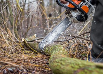 ΚΥΑ για τη μεταφορά και τις αμοιβές δασεργατών σε περιστατικά δασικής πυρκαγιάς ή άλλης φυσικής καταστροφής – Τι προβλέπει