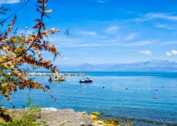 «Thessaly Evros Pass»: Άνοιξε η πλατφόρμα για την υποβολή αιτήσεων