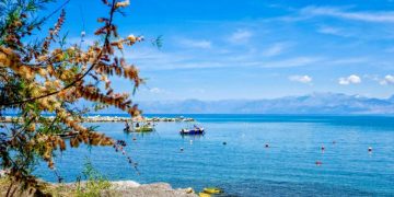 «Thessaly Evros Pass»: Άνοιξε η πλατφόρμα για την υποβολή αιτήσεων