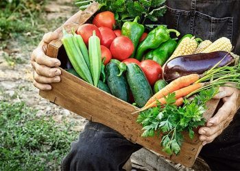 ΕΛΣΤΑΤ: Αυξημένες κατά 15,7% οι τιμές των αγροτικών προϊόντων