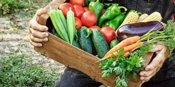 ΕΛΣΤΑΤ: Αυξημένες κατά 15,7% οι τιμές των αγροτικών προϊόντων