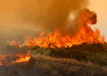 Σε εξέλιξη πυρκαγιά στο Κατσιμίδι Πάρνηθας