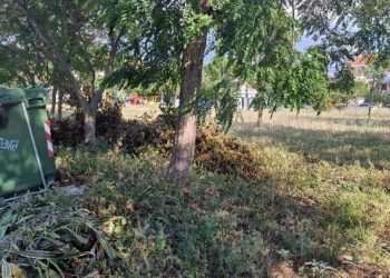 Παράταση υποβολής δηλώσεων καθαρισμού οικοπέδων στην πλατφόρμα akatharista.apps.gov.gr