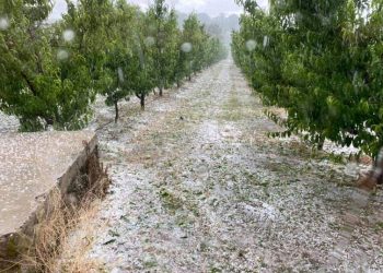 ΥΠΑΑΤ: Αναβαθμίζεται το πρόγραμμα χαλαζικής προστασίας με εναέρια μέσα
