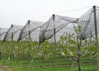 Αναβαθμίζεται το πρόγραμμα χαλαζικής προστασίας με εναέρια μέσα
