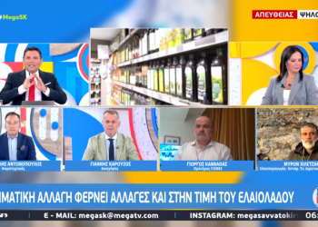 Ελαιόλαδο: Οι…βροχές θα καθορίσουν τις τιμές
