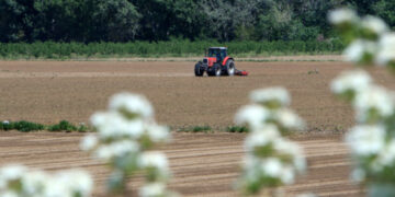 Χανιά: Τα πορίσματα του ΕΛΓΑ για τον καύσωνα του Ιουνίου 2024