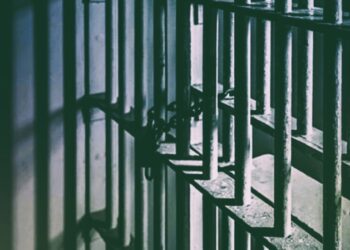 Δολοφονία Πολωνού καθηγητή: Προφυλακιστέοι ο δολοφόνος, και οι 3 συνεργοί του