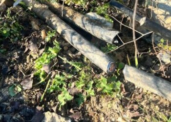 Καταγγελία Κυρανάκη: Έκοψαν τα καλώδια της τηλεδιοίκησης στα τρένα – «Ήθελαν νεκρούς στην επέτειο των Τεμπών»