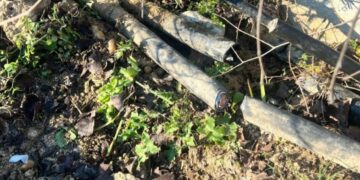 Καταγγελία Κυρανάκη: Έκοψαν τα καλώδια της τηλεδιοίκησης στα τρένα – «Ήθελαν νεκρούς στην επέτειο των Τεμπών»