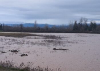 Τρίκαλα: Ελεγχόμενη η κατάσταση μετά τις έντονες βροχοπτώσεις – Αντιμετωπίστηκαν τα προβλήματα στον Δήμο Μετεώρων