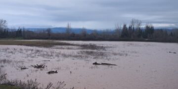 Τρίκαλα: Ελεγχόμενη η κατάσταση μετά τις έντονες βροχοπτώσεις – Αντιμετωπίστηκαν τα προβλήματα στον Δήμο Μετεώρων