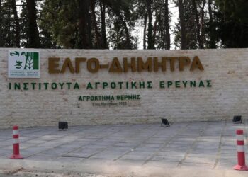 ΕΛΓΟ Δήμητρα: Αντίστροφή μέτρηση για τις αιτήσεις