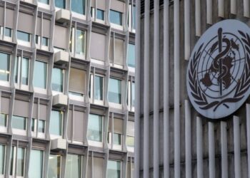 ΠΟΥ: 3 θάνατοι συνδέονται με πιθανό ξέσπασμα του ιού hantavirus σε κρουαζιερόπλοιο στον Ατλαντικό