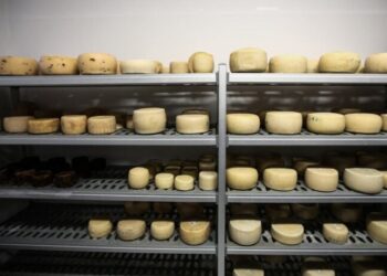 Ξεπέρασαν τους 1.044 τόνους τα τυριά που διακινήθηκαν ελεγχόμενα από τη Λέσβο