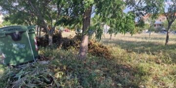 Ευ. Τουρνάς: Πρέπει να ξεπεράσουμε τον περσινό αριθμό καθαρισμών, γιατί είναι ανάγκη να μειώσουμε την καύσιμη ύλη